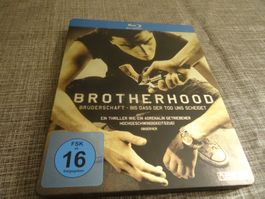 Brotherhood - Blu-ray Steelbook,