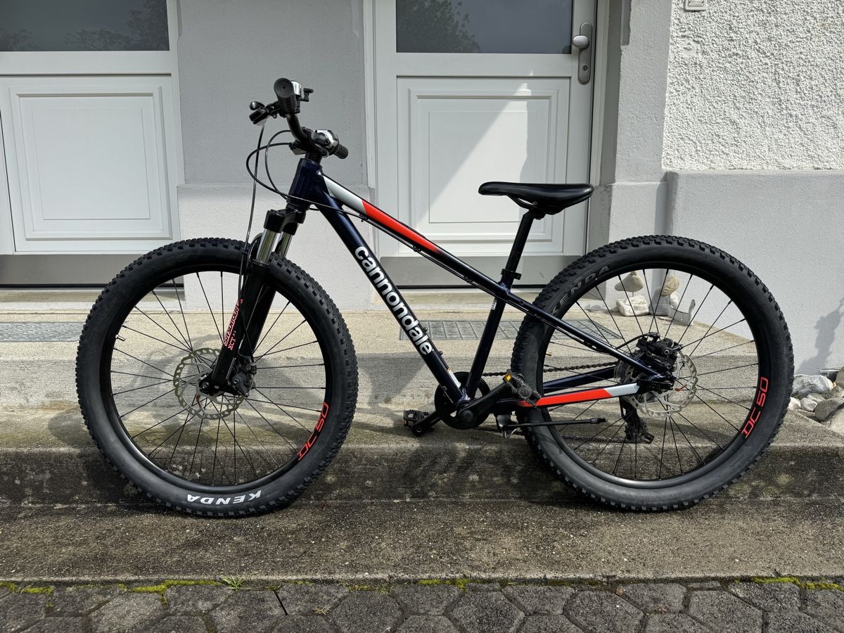 Cannondale Biciclette: Cannondale Trail 24 fat bike – Usato da Widnau venduto da Barbaros82 1