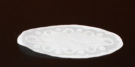 Deckchen weiss16x26.5cm (17)