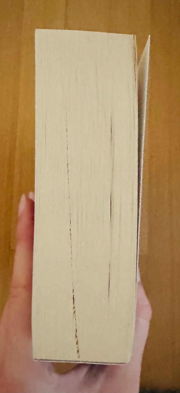 Bücher: Frostkuss- Jennifer Estep – Neu (gemäss Beschreibung) aus Bettwil von bellis_perennis_222 3
