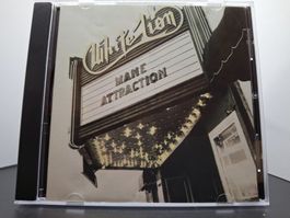 White Lion – Mane Attraction