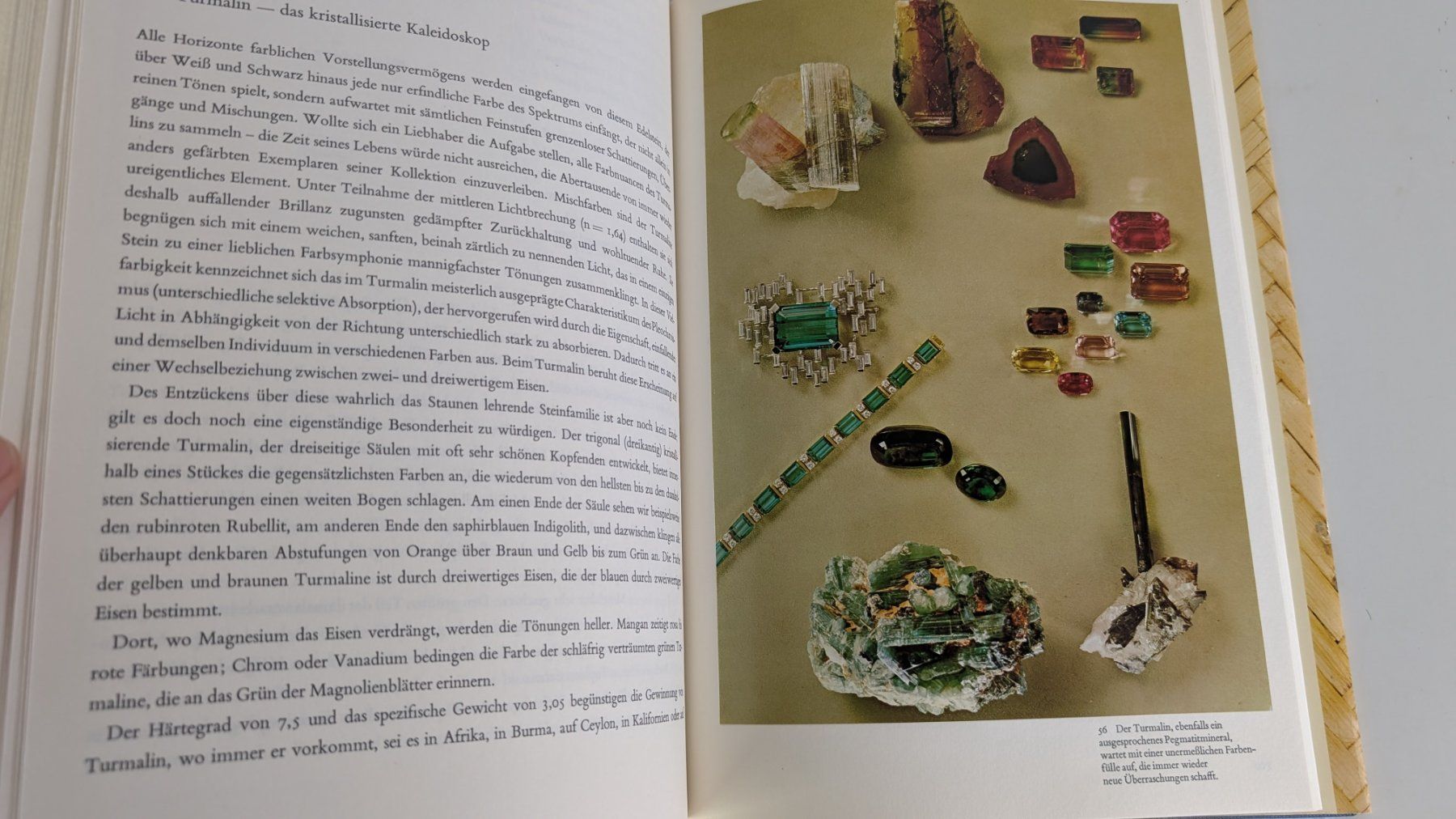 Libri: Edelsteine, eine Sammlung für Kenner, Top – Usato da Zürich venduto da axolottchen 9