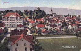 Uster ZH // 1919 Generalansicht