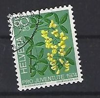 1974 - Giftpflanzen /  Goldregen