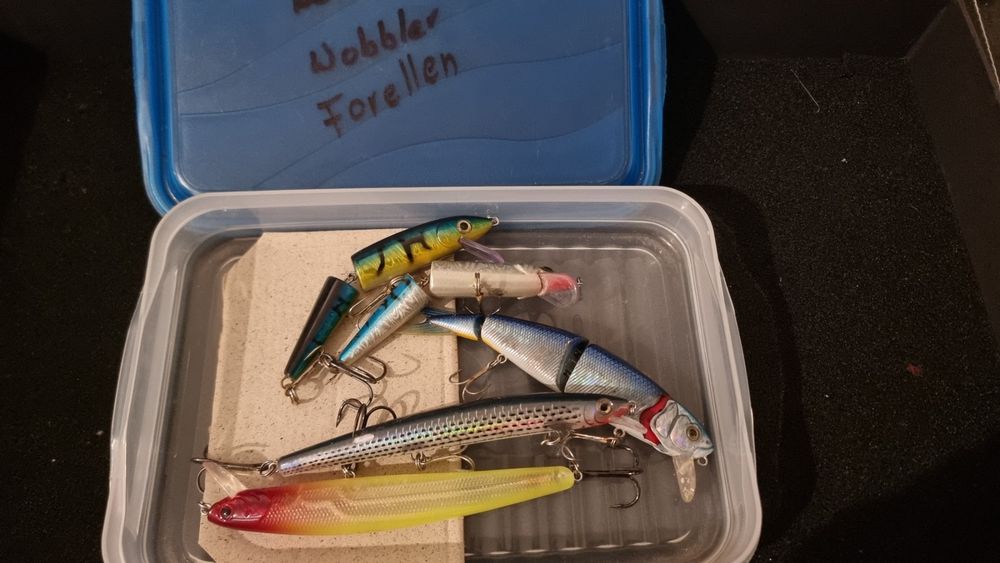 75-teiliges Angelköder Set Mit Tacklebox - Gummifische, Jigköpfe, Spinner Für Raubfische