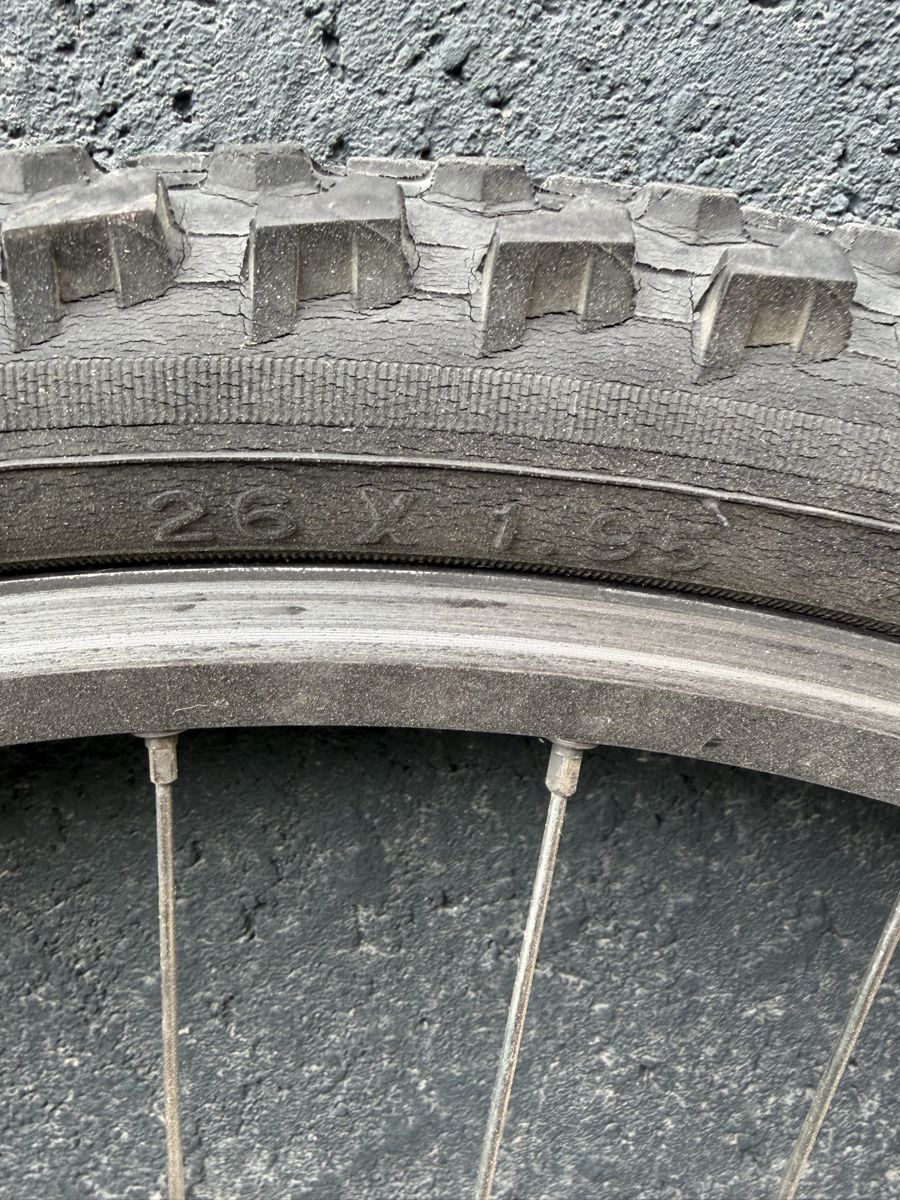 Pneumatici & Ruote complete: MTB Rad Vorderrad 26x1.95 – Usato da Haslen GL venduto da rischko 3