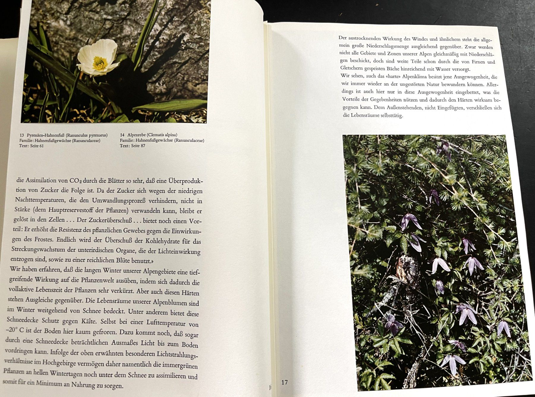Libri: Silva Verlag, Alpenblumen, 1969 – Usato da Oftringen venduto da Vucki 4