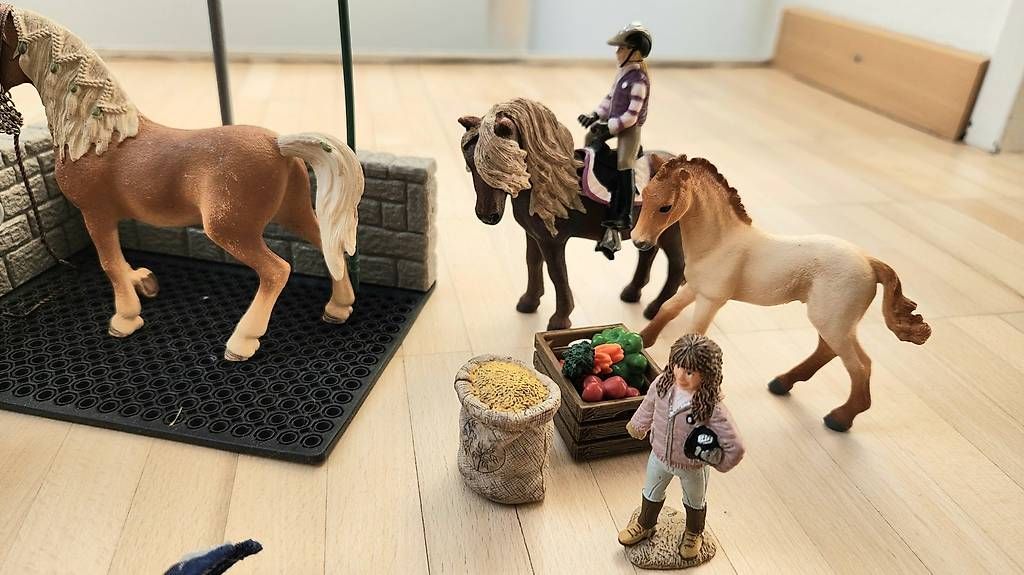 Giocattoli: Schleich Waschplatz – Usato da Urdorf venduto da Silvie5 1