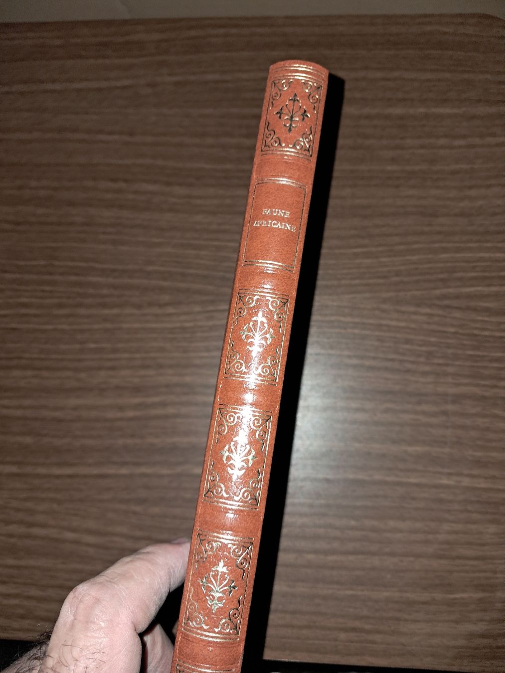 Bücher: Livre faune africaine – Gebraucht aus Le locle von juliensaran 2