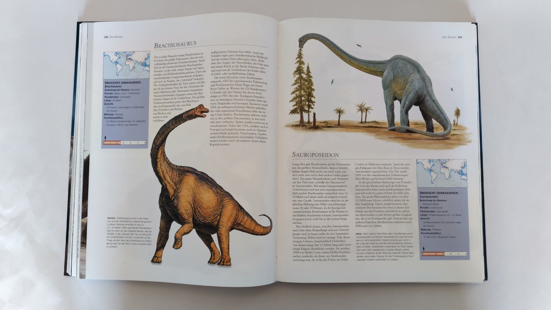 Libri: Dinosaurier / Buch 2004 mit 448 Seiten ab Fr. 14.- – Usato da Bellach venduto da JingleJerry 6