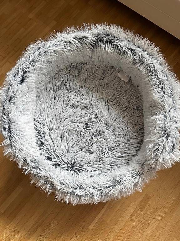 Cucce & Letti: Hundebett – Usato da Kirchberg BE venduto da naa_lxk5 1