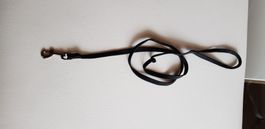flexible Hundeleine ca 1 meter