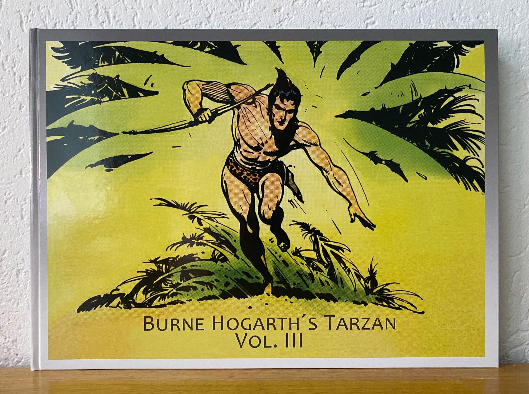 Fumetti: Burne Hogarth's Tarzan Vol. 1 bis 4 – Usato da Münsingen venduto da kempes 2