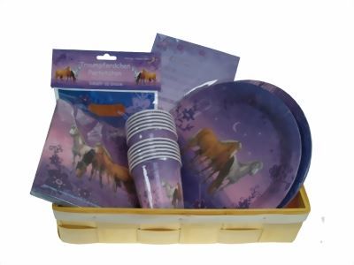 Altro per bambini: Partyset - Partygeschirr Traumpferdchen – Nuovo e nell'imballaggio originale da Wetzikon ZH venduto da shoo-shoos 1