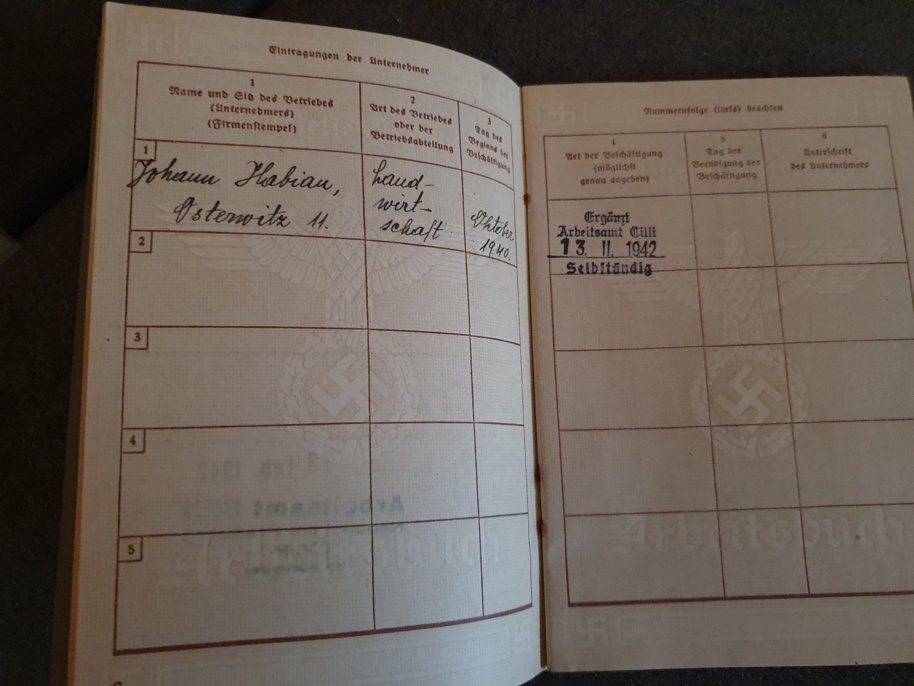 Libri: Arbeitsbuch militaria WW2 – Usato da Pregassona venduto da eld_st6b 4