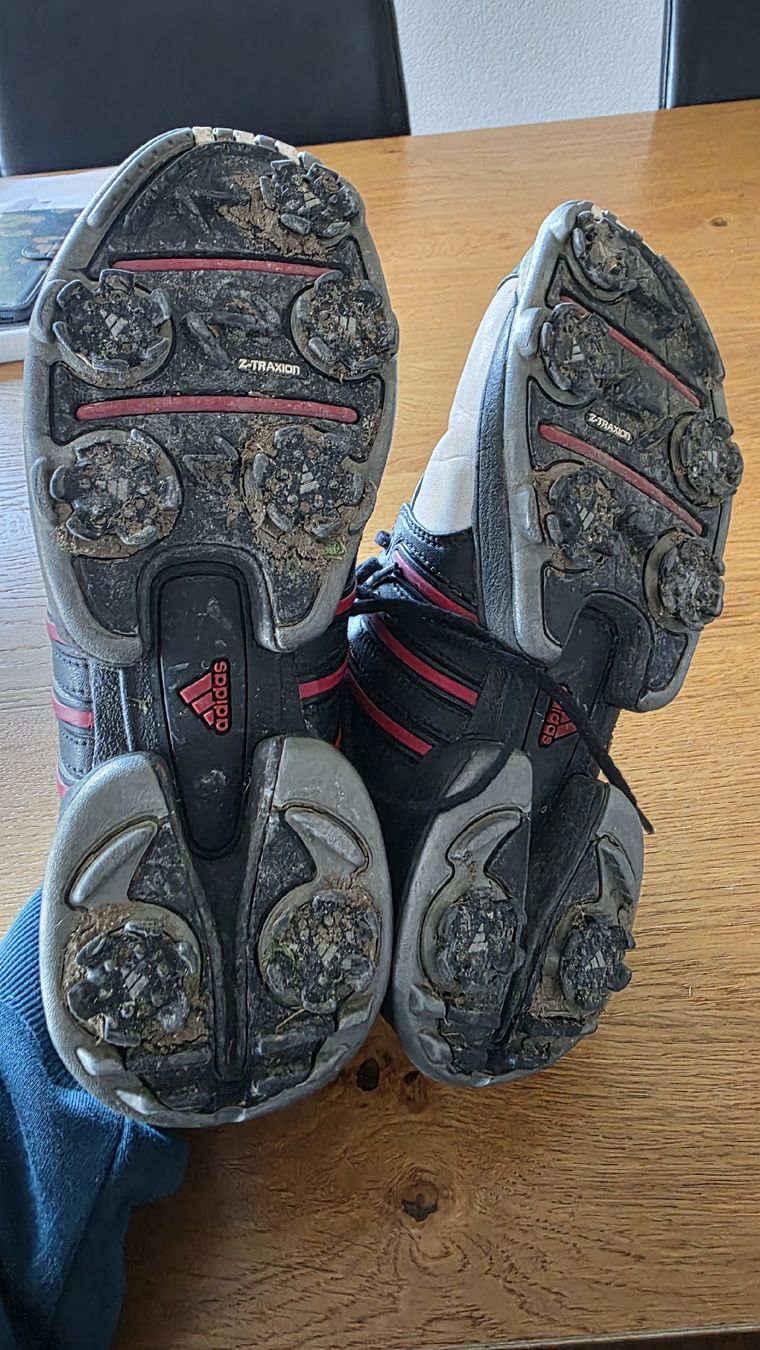 Adidas Scarpe per ragazzi: Junioren Golf Schuhe – Usato da Brüttisellen venduto da kauerin 3