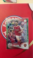 Fussballkarte Declan Rice Team of the Season 71/99
