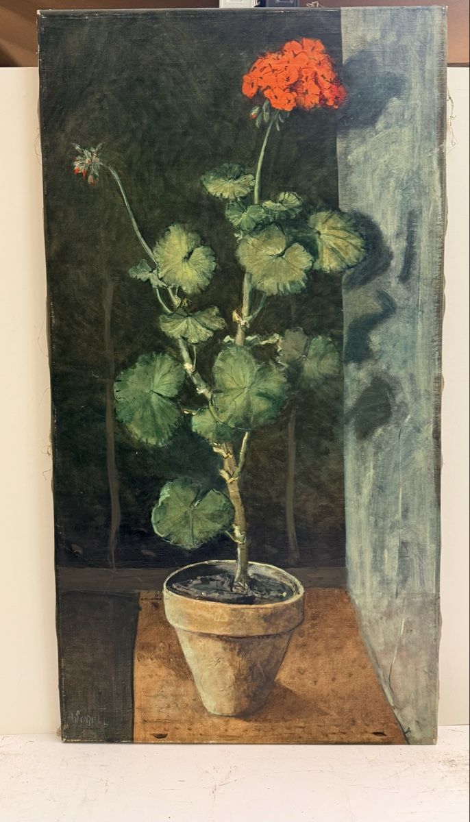 Dipinti: Albert Scabell - Ölgemälde / Geranium im Topf – Usato da Solothurn venduto da NUVICO 4