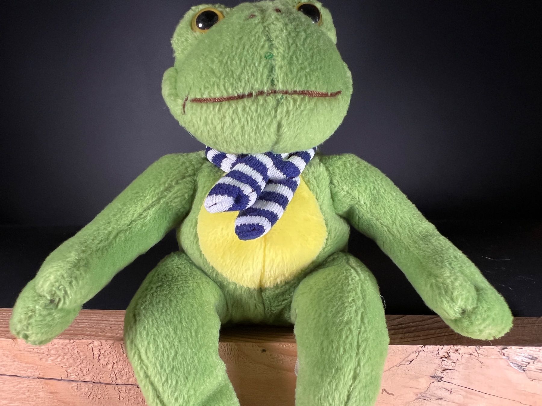 Giocattoli: Stofftier Frosch mit Schal sitzend gebraucht – Usato da Häusernmoos venduto da adlerfedern 2