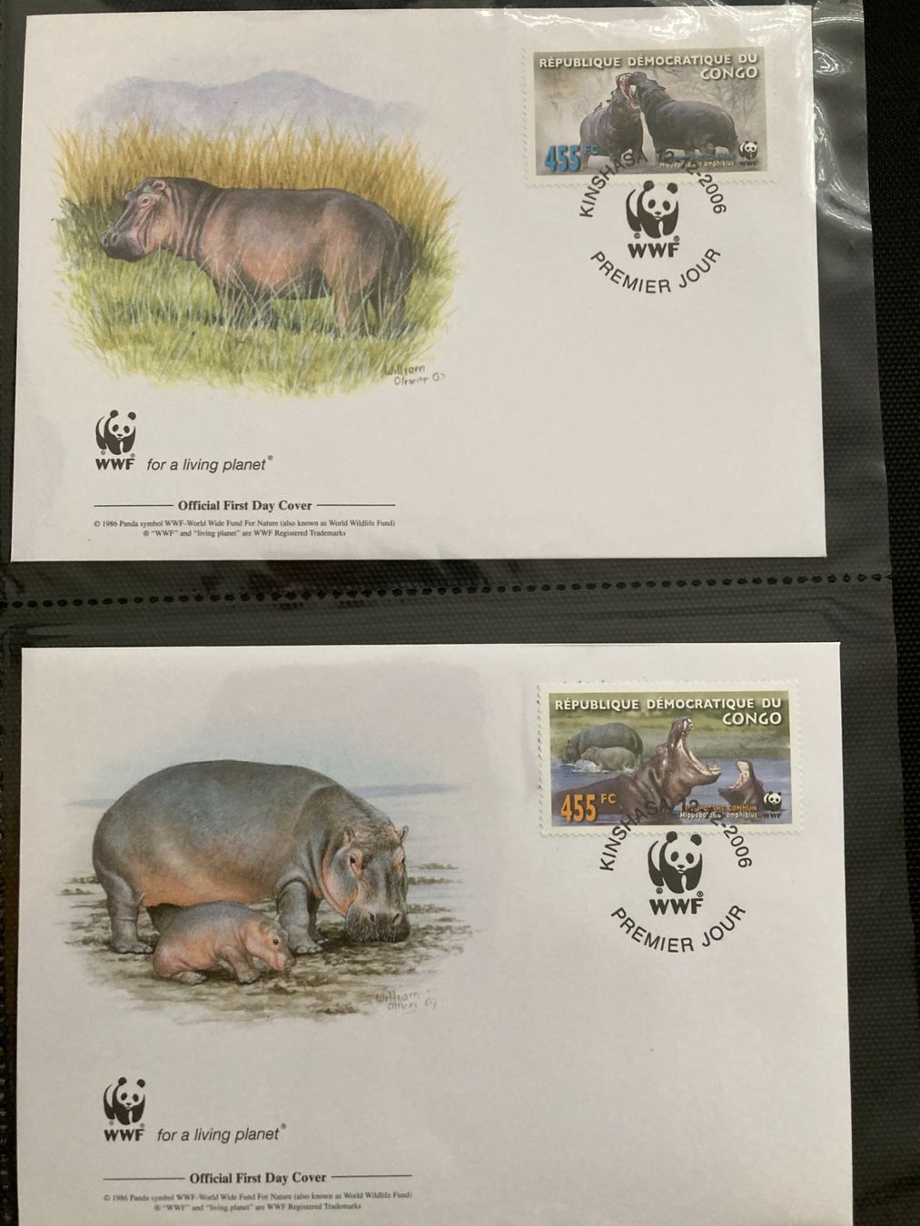 Tutti i francobolli: Kongo 2006 Satz WWF Flusspferd illustrierte Ersttagsbriefe – Nuovo (secondo la descrizione) da Liestal venduto da schnueps 1