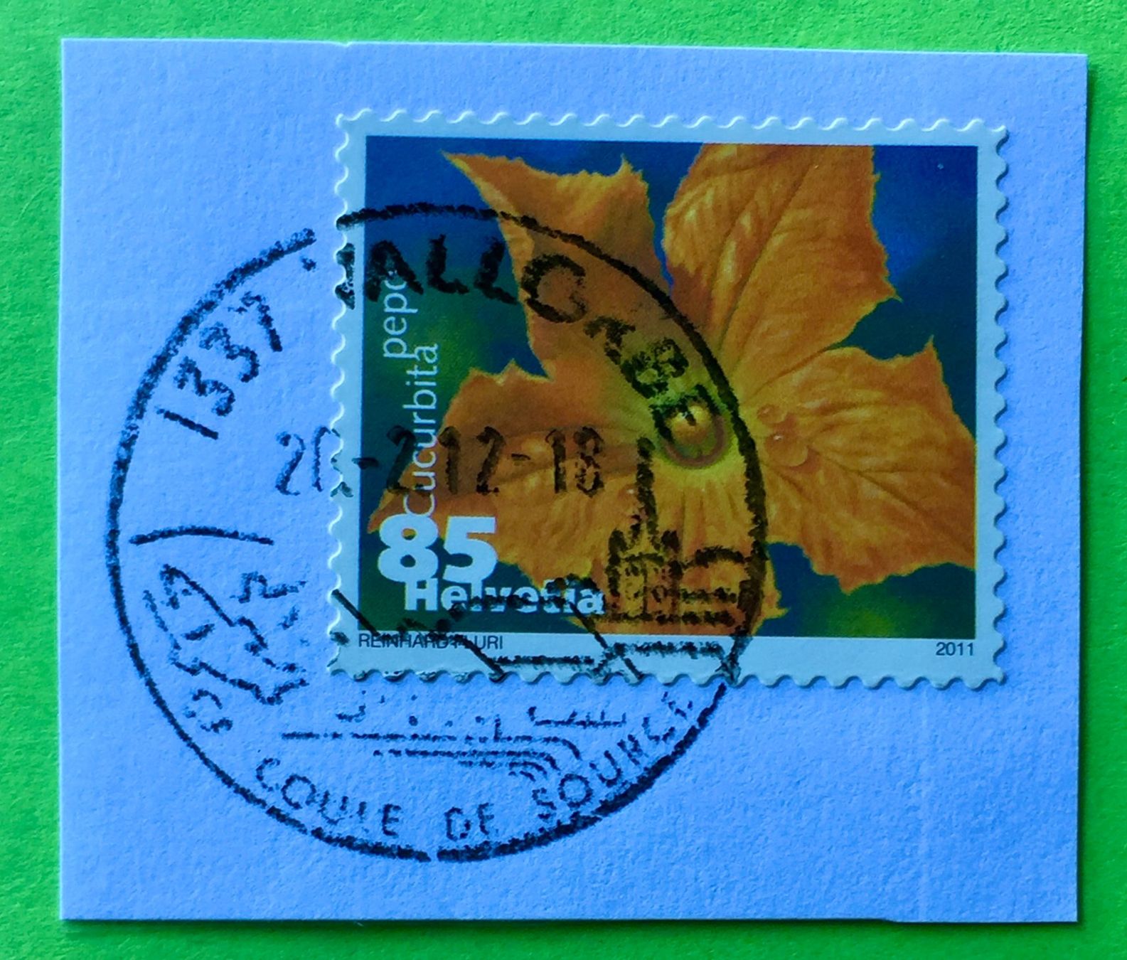 Tutti i francobolli: Nr.1376 Dauermarken Gemüseblüten 2011 mit Stempelt Zucchini – Usato da Aarau venduto da Billa007