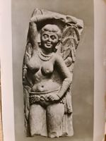 Victoria Albert Museum 1962