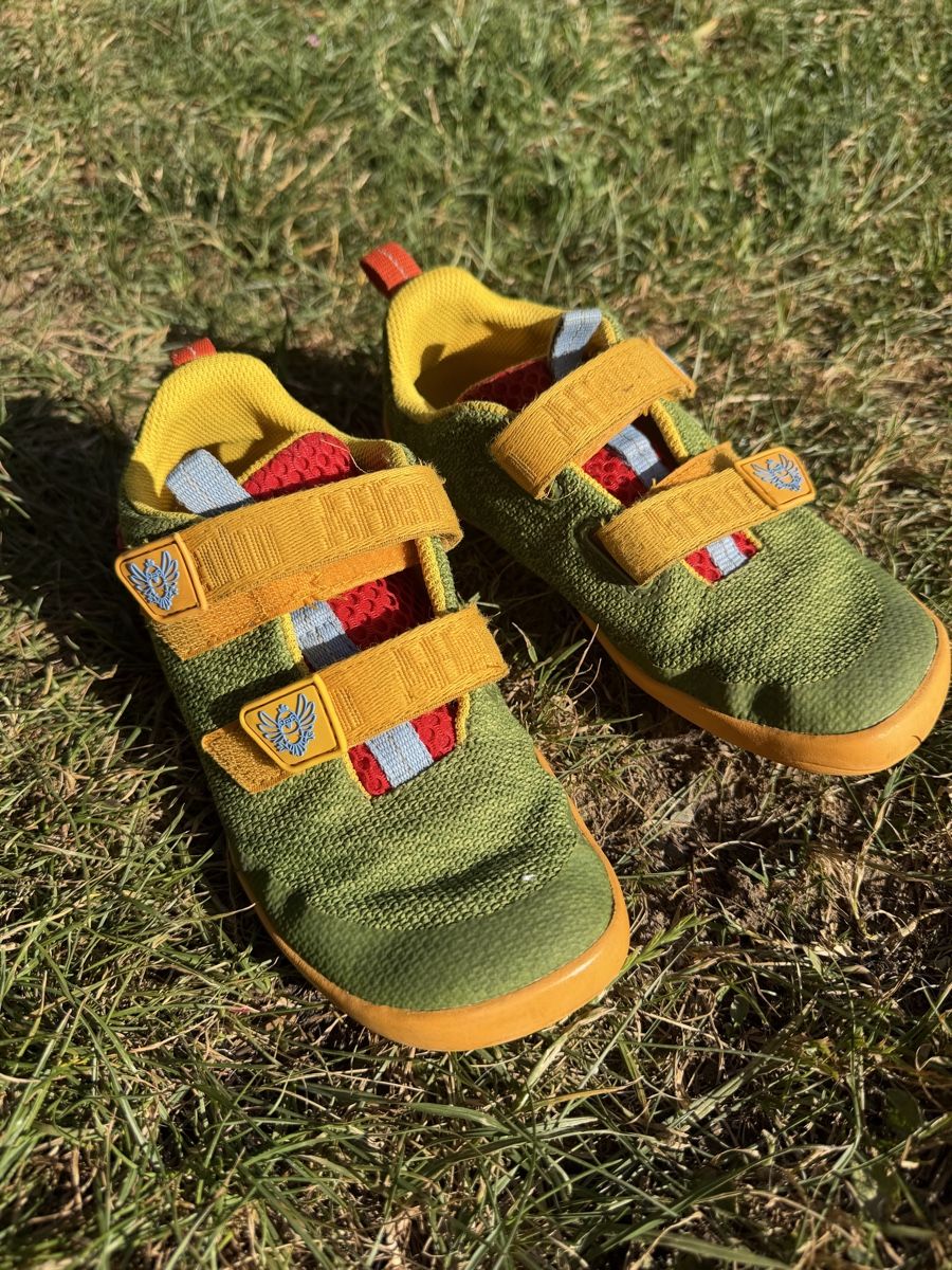 Affenzahn Scarpe da uomo: Affenzahn Turnschuh Gr 31 – Usato da Dürnten venduto da NicAuer