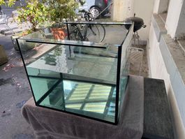 Aquarium, spezielle Masse