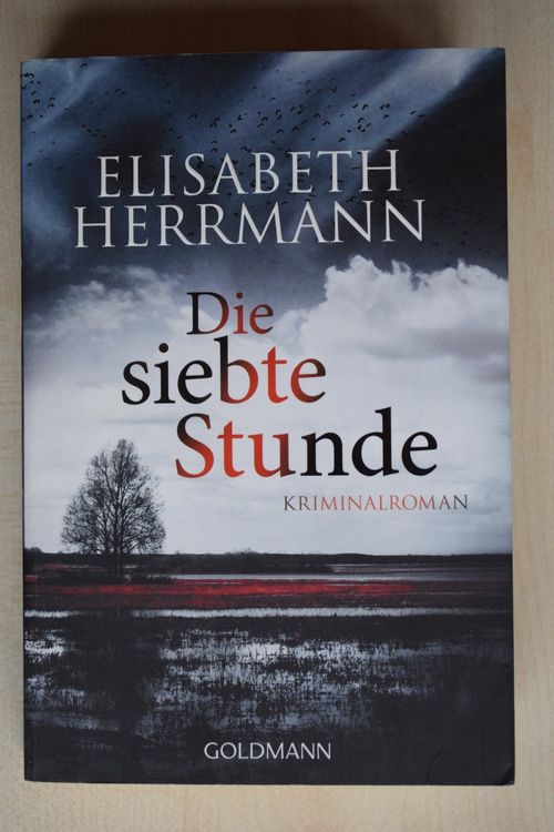 ELISABETH HERRMANN Die siebte Stunde (360) (Gebraucht) in Reutigen für