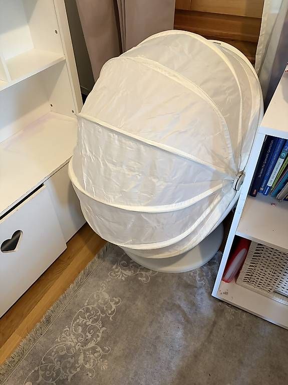 Sessel: Sessel – Gebraucht aus Romanshorn von sabrinava 2