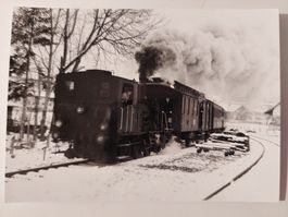 Dampfzug fährt ein Foto 2, 12x8.5