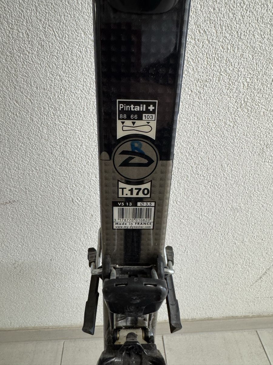 Dynastar Skis: Ski Dynastar T.170 Pintail gebraucht – Gebraucht aus Birsfelden von inf_l2yy 1