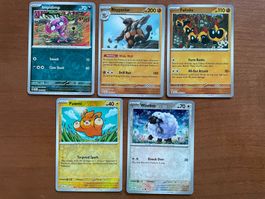 Pokemon Reverse Karten Set (Versand gratis)