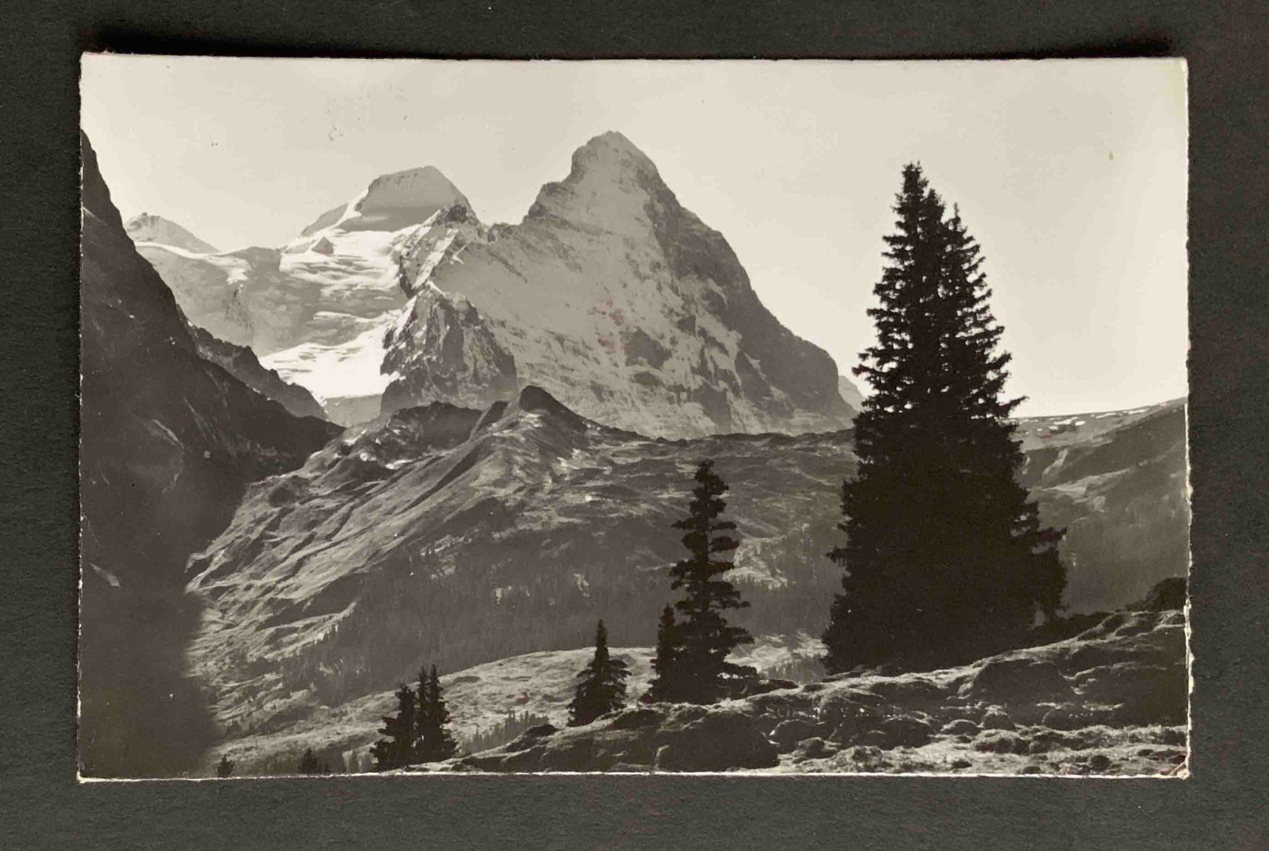 Cartoline postali: AK Grosse Scheidegg Meiringen Grindelwald Mönch Eiger – Usato da Goldau venduto da artelier1
