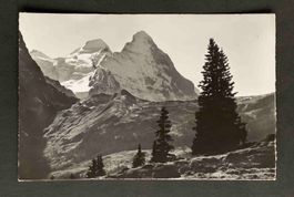 AK Grosse Scheidegg Meiringen Grindelwald Mönch Eiger