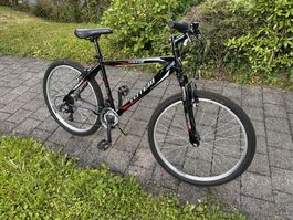 Totem Mountainbike "Insane" Jugend-/Freizeitvelo