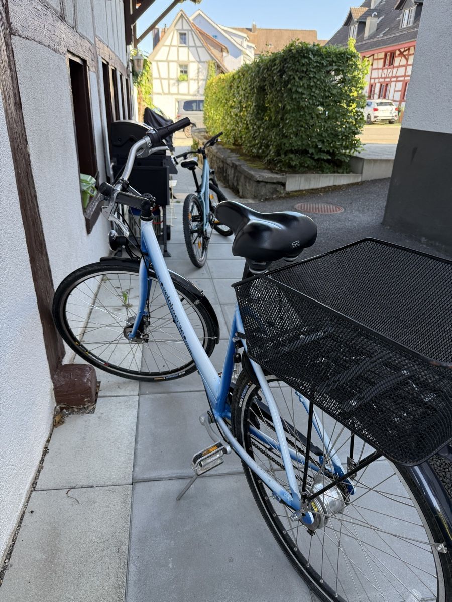 Velos: Zürivelo blau-weiss mit Korb – Gebraucht aus Dielsdorf von bambus1 3