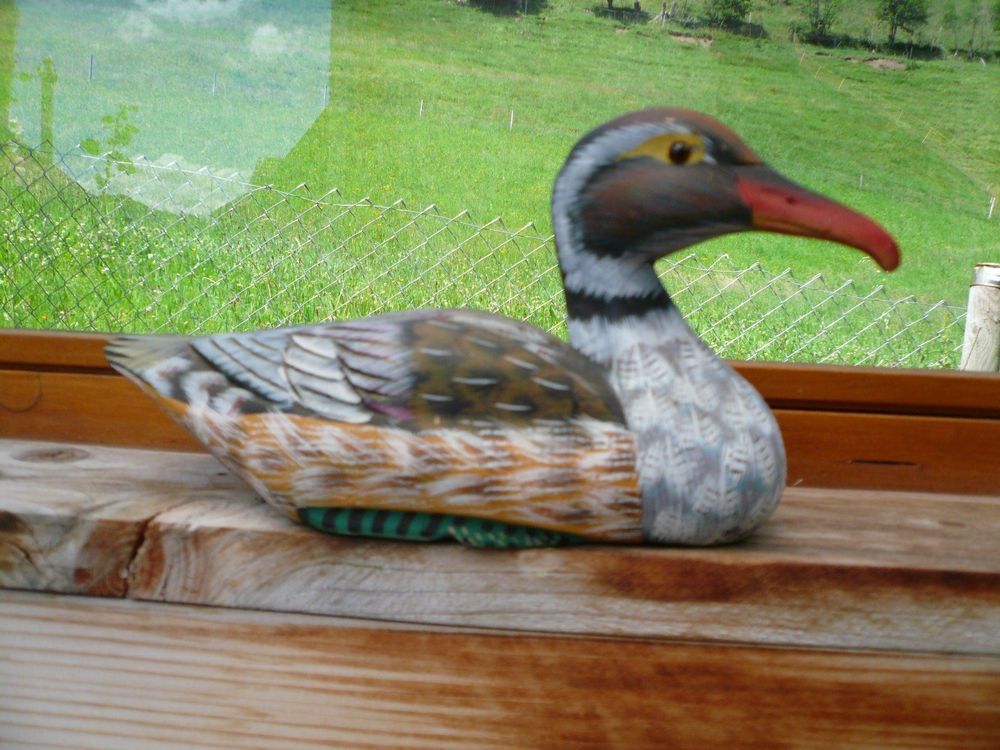 Garten Ente aus Holz Lockente Kaufen auf Ricardo