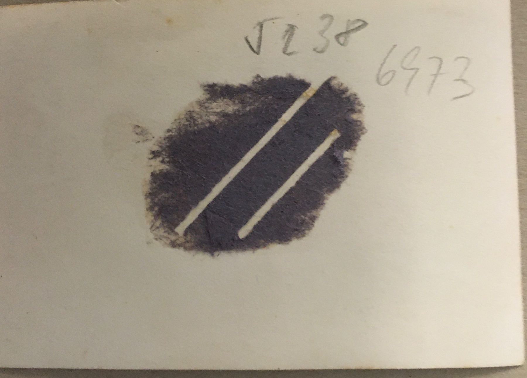 Cartoline postali: Privatfoto, Unikat, Boccia, Freizeit, Spiel, – Usato da Frauenfeld venduto da Merk52 1