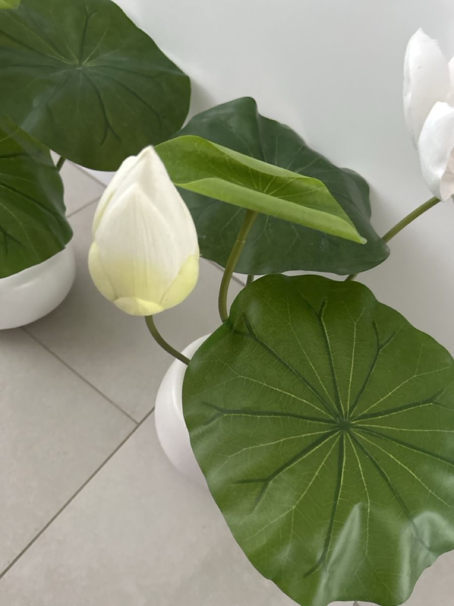Piante & sementi: 2x Kunstblumen grün / weiss – Usato da Zug venduto da Hehe 3