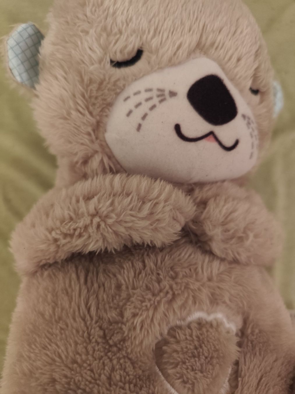 Fisher-Price Giocattoli: Spieluhr Schlummer-Otter – Usato da Uster venduto da NEVERLASTTRADING