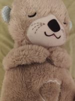 Spieluhr Schlummer-Otter