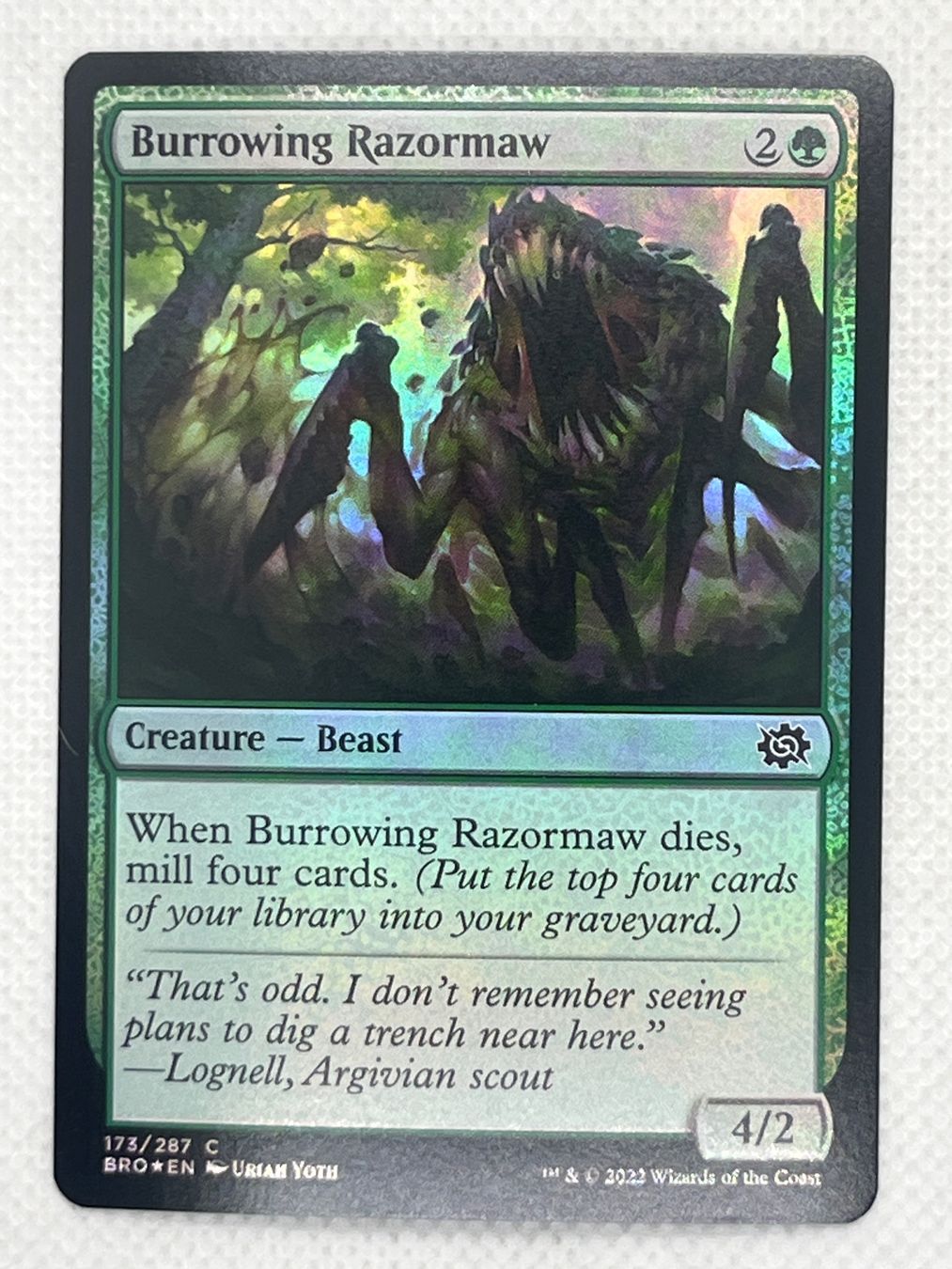 Magic The Gathering Carte collezionabili: MTG Burrowing Razormaw BRO 173 Englisch Common Foil – Usato da Hinterkappelen venduto da Kim1992