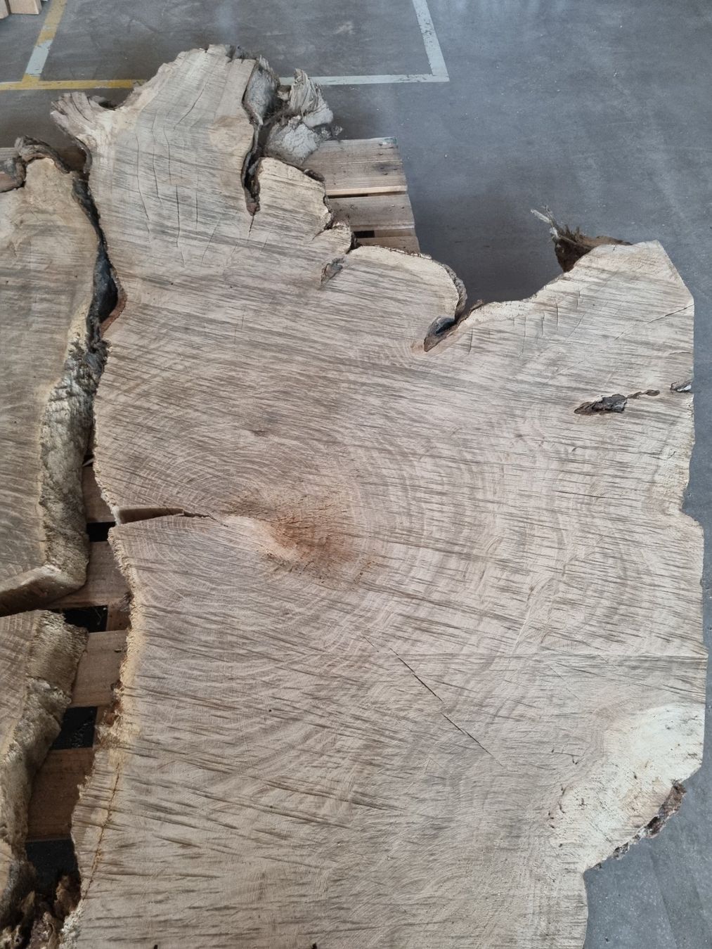 Articoli in legno: Baumscheibe Eiche Tischplatte Eichenplatte XXL  210 cm – Usato da Rheineck venduto da Dein_Wunschholz 2