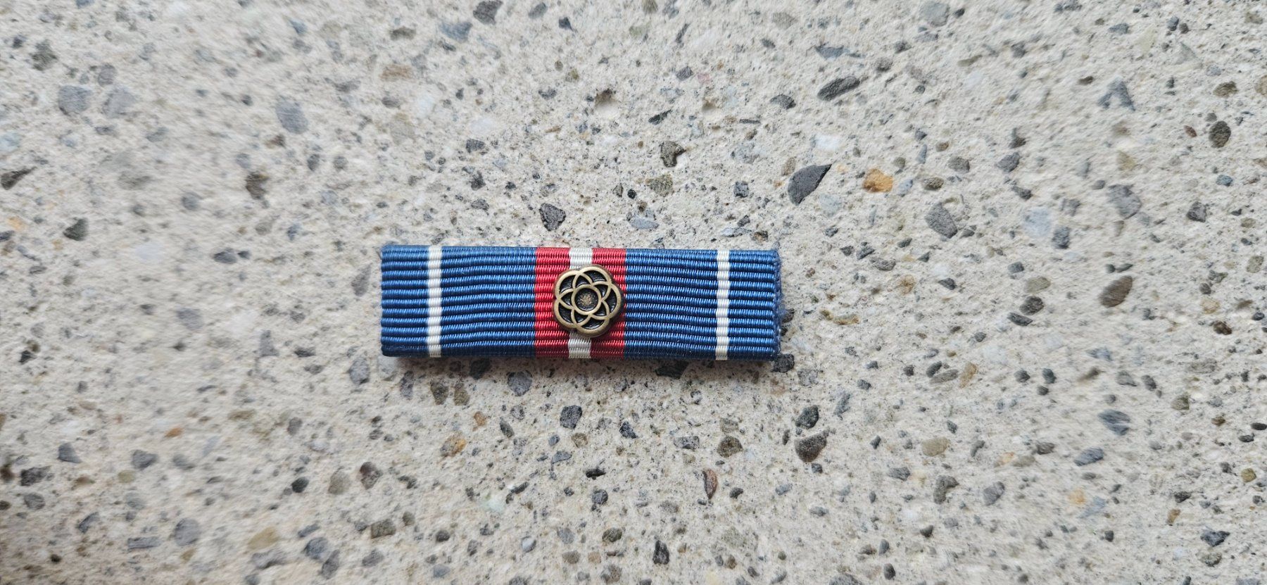 Schweizer Armee Placchette & Badge: *** Diensttage Ribbon *** – Usato da Riedholz venduto da fr_sIruP