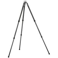 Gitzo GT3530LS Systematic Dreibeinstativ mit LensCoat Schutz
