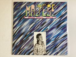 Maltese Maxi- Single - Mama