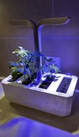 Potager d’intérieur Véritable Smart