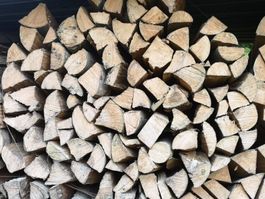 Brennholz Buche