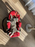 Babywippe